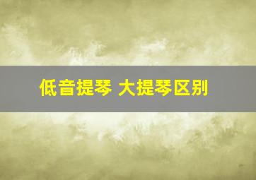 低音提琴 大提琴区别